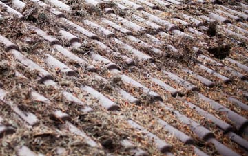 Mattishall Burgh roof cleaning companies